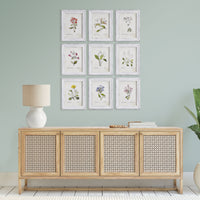 Design Shop Garden Meadow Study, Set Of 9