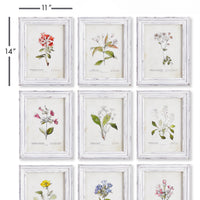 Design Shop Garden Meadow Study, Set Of 9