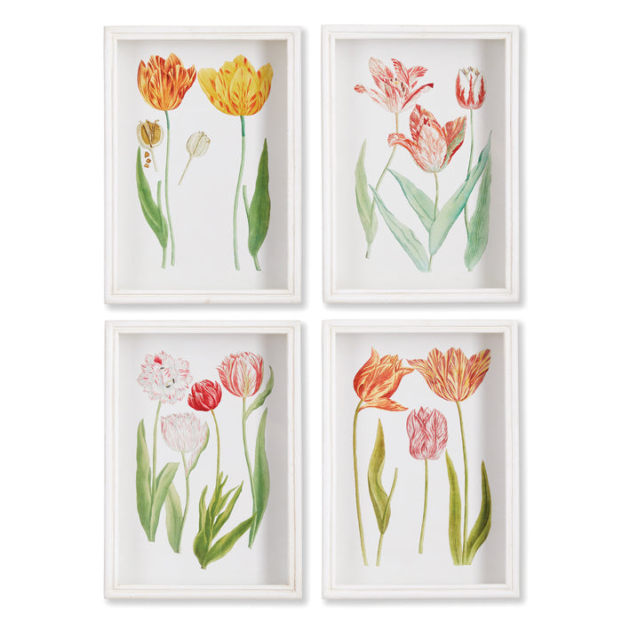 Design Shop Tulip Prints, Set Of 4