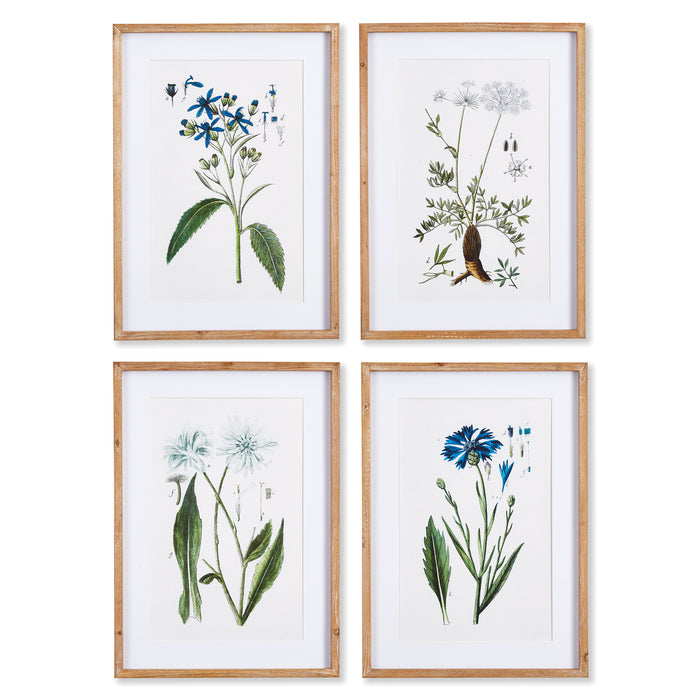 Design Shop Mountain Botanical Prints, Set Of 4