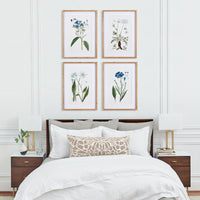 Design Shop Mountain Botanical Prints, Set Of 4