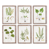 Design Shop Shade Garden Study, Set Of 6