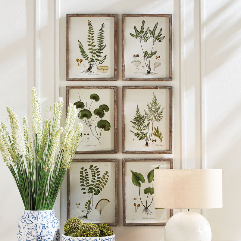 Design Shop Shade Garden Study, Set Of 6