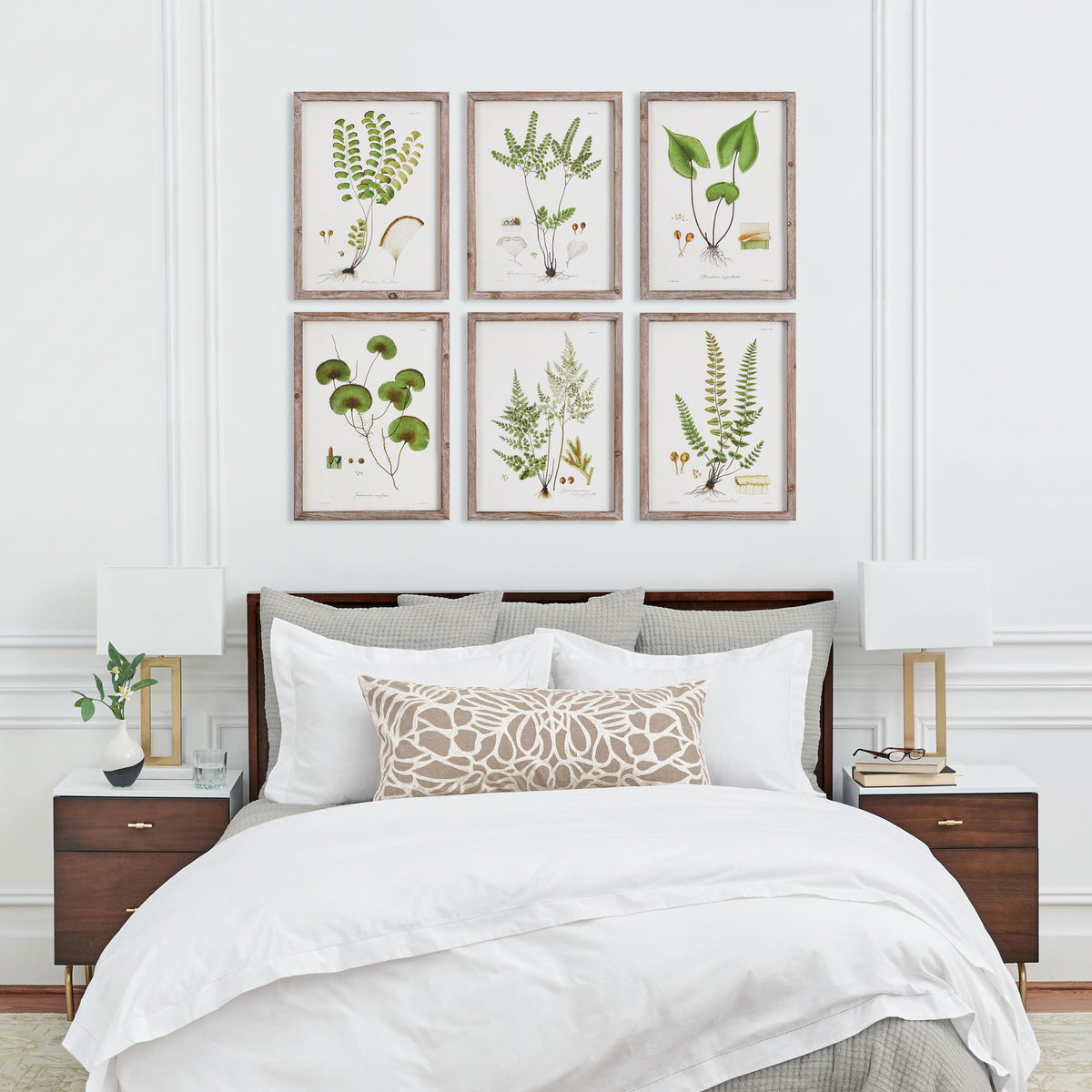Design Shop Shade Garden Study, Set Of 6