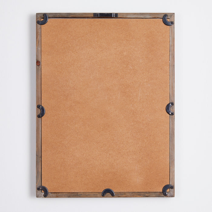 Design Shop Shade Garden Study, Set Of 6