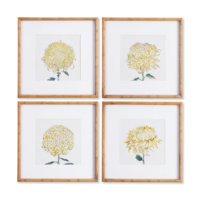 Design Shop Chrysanthemum Prints, Set Of 4