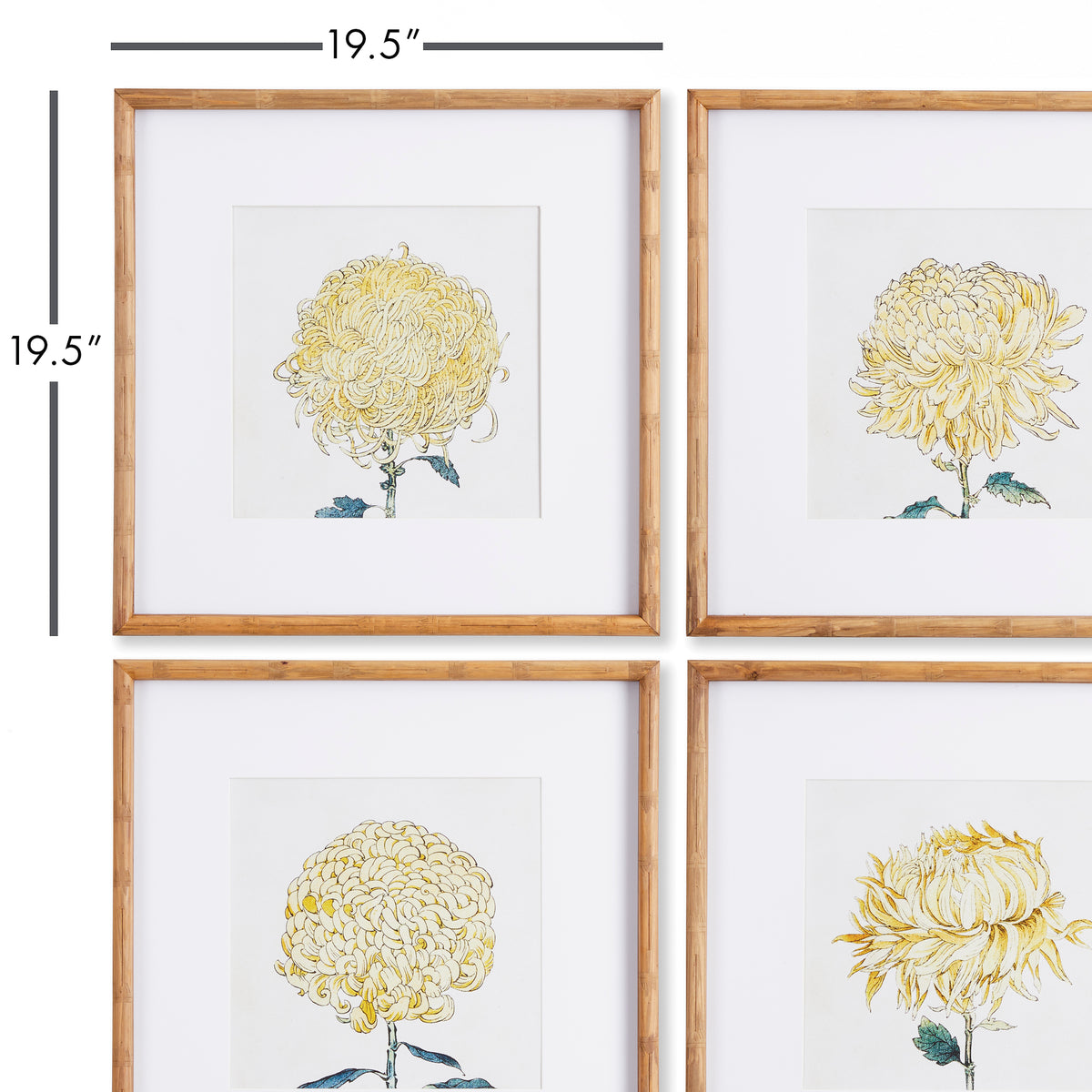 Design Shop Chrysanthemum Prints, Set Of 4