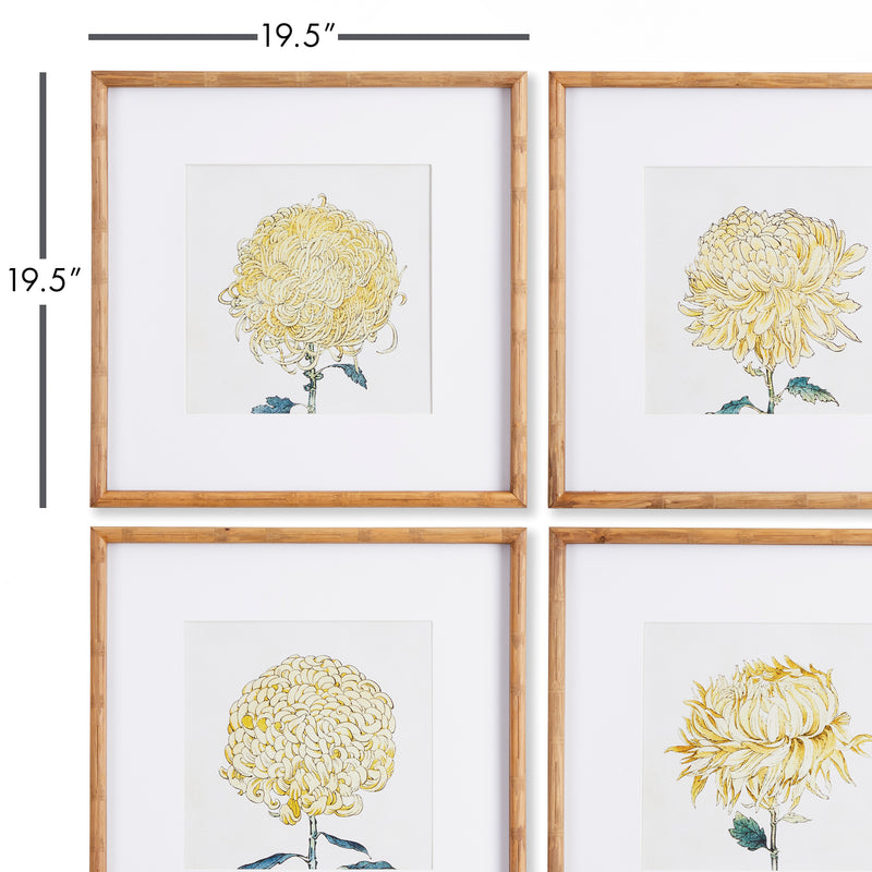 Design Shop Chrysanthemum Prints, Set Of 4