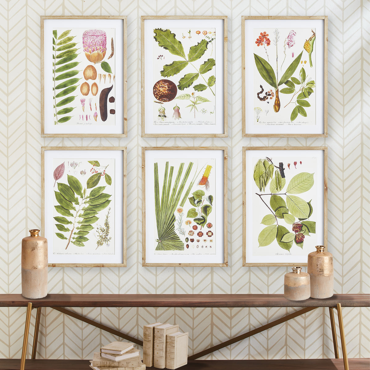 Design Shop Leaf Botanical Study, Set Of 6