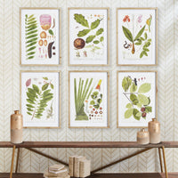 Design Shop Leaf Botanical Study, Set Of 6