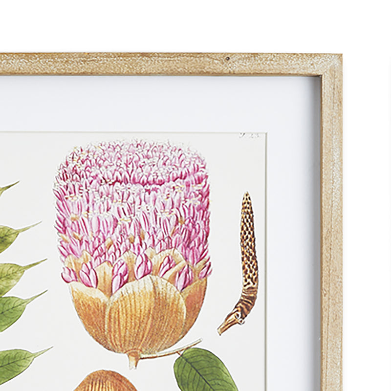 Design Shop Leaf Botanical Study, Set Of 6