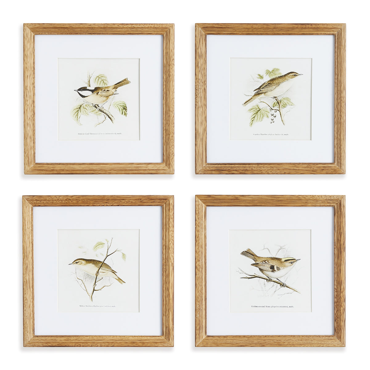 Design Shop Perching Bird Study Petite, Set Of 4