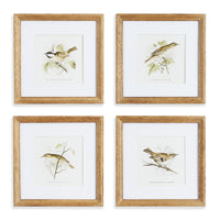 Design Shop Perching Bird Study Petite, Set Of 4