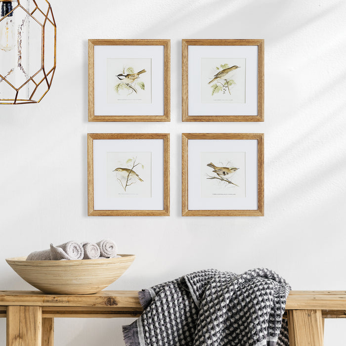 Design Shop Perching Bird Study Petite, Set Of 4