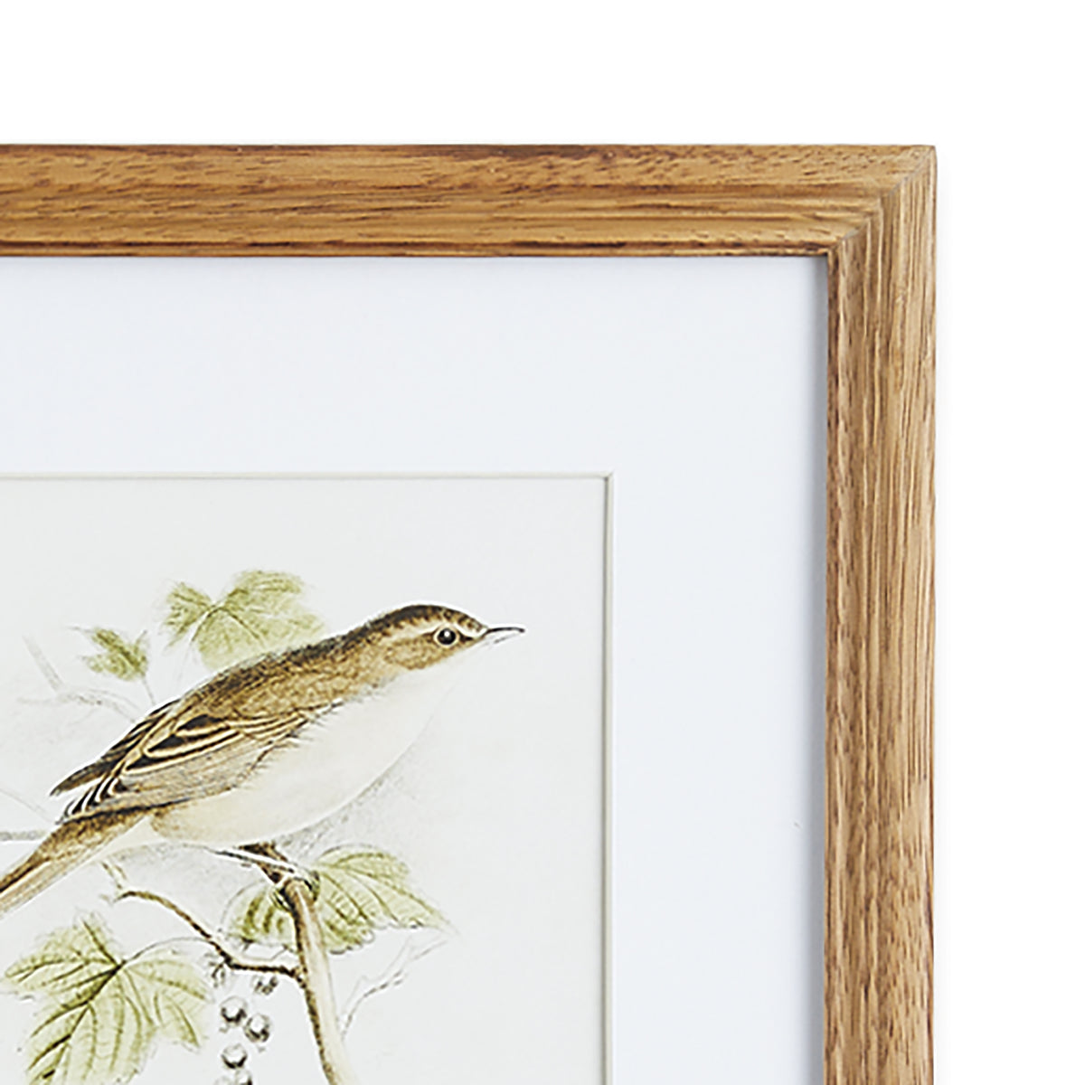 Design Shop Perching Bird Study Petite, Set Of 4