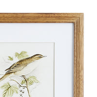 Design Shop Perching Bird Study Petite, Set Of 4