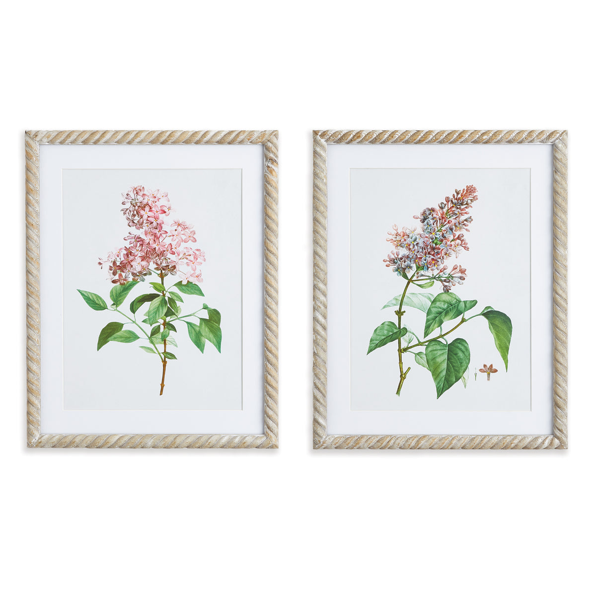 Design Shop Lilac Cutting Prints, Set Of 2