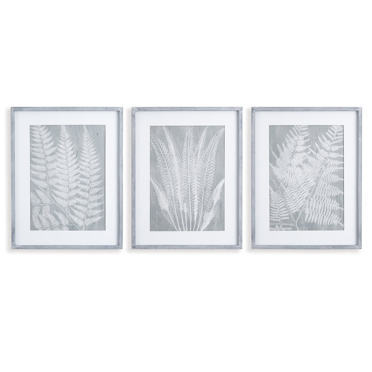 Design Shop Fern Frond Prints, Set Of 3
