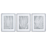 Design Shop Fern Frond Prints, Set Of 3