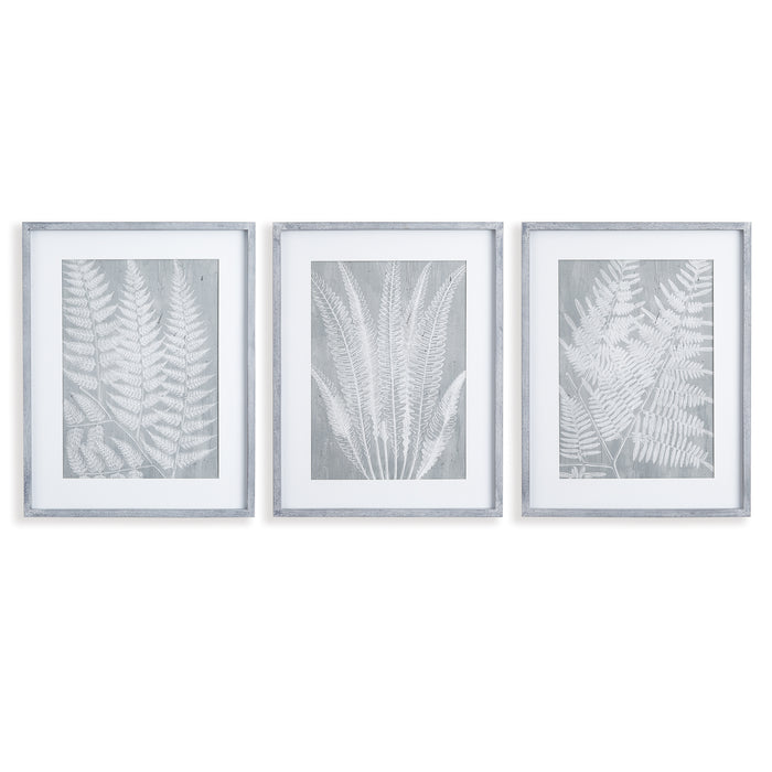 Design Shop Fern Frond Prints, Set Of 3