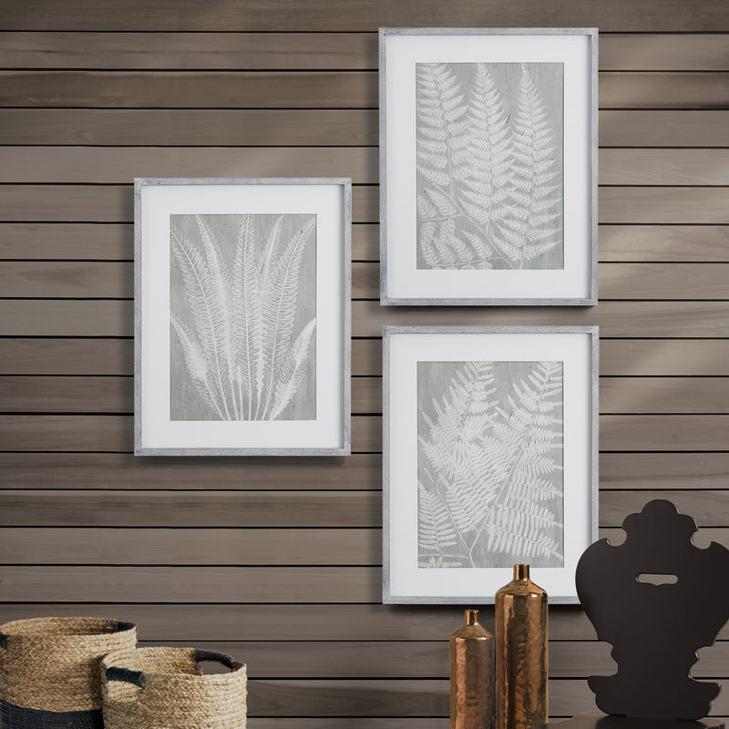 Design Shop Fern Frond Prints, Set Of 3