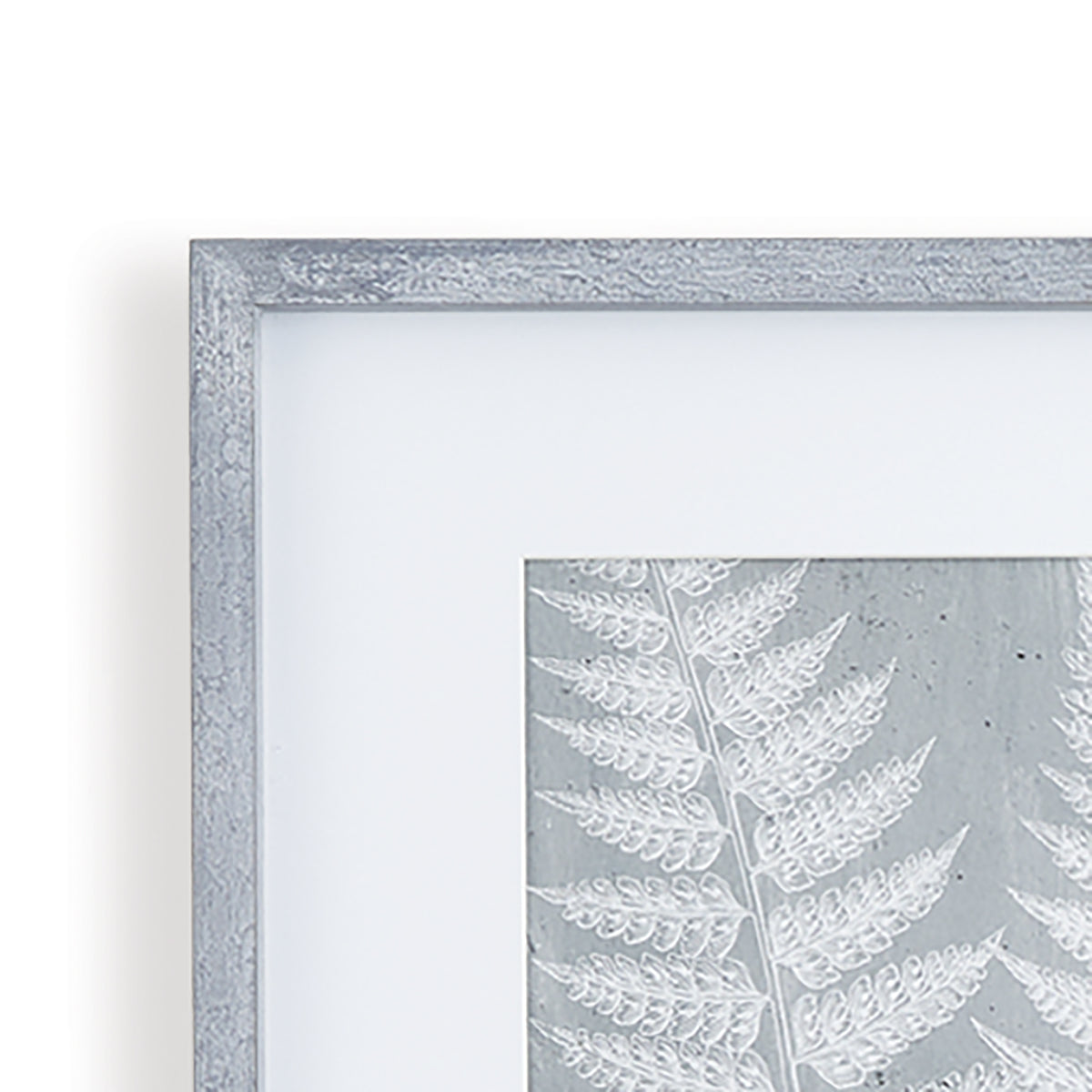 Design Shop Fern Frond Prints, Set Of 3