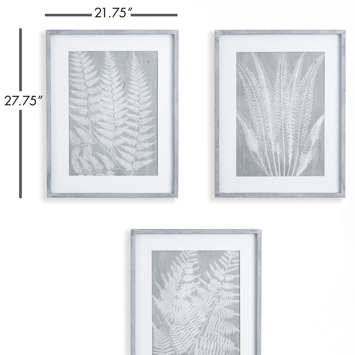 Design Shop Fern Frond Prints, Set Of 3