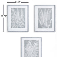 Design Shop Fern Frond Prints, Set Of 3