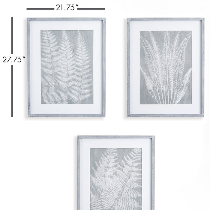 Design Shop Fern Frond Prints, Set Of 3