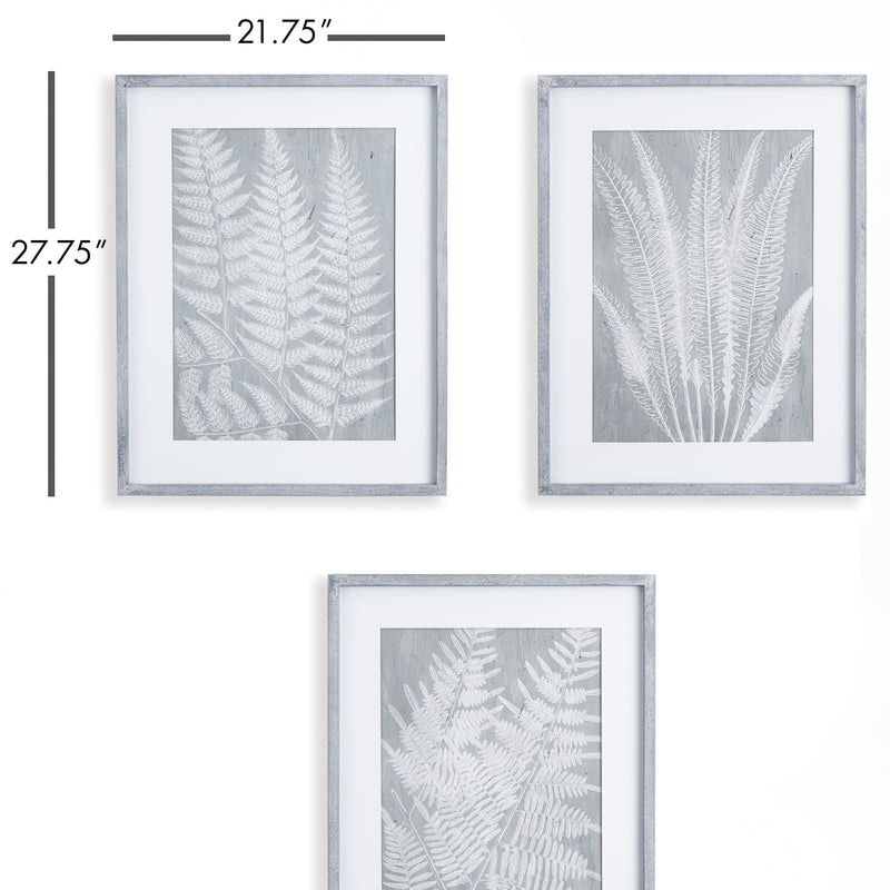 Design Shop Fern Frond Prints, Set Of 3