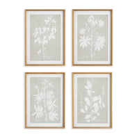 Design Shop Foliage Study, Set Of 4