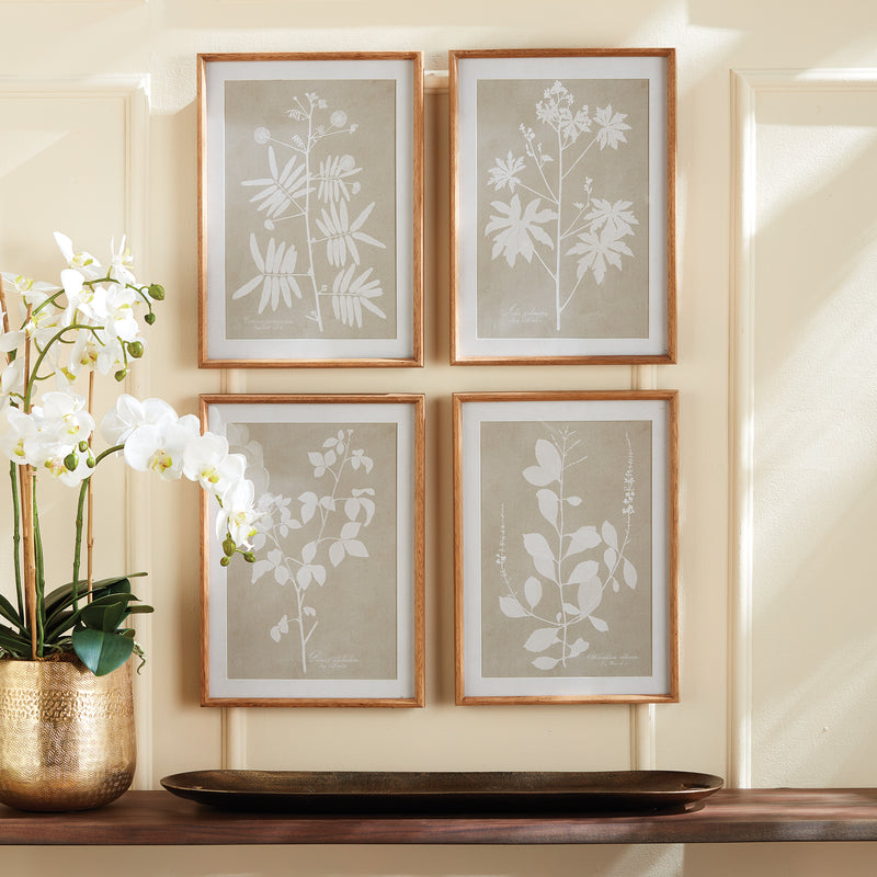 Design Shop Foliage Study, Set Of 4