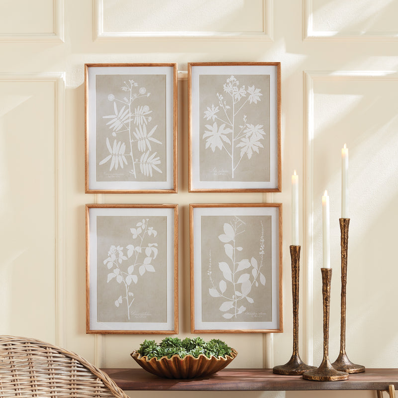 Design Shop Foliage Study, Set Of 4