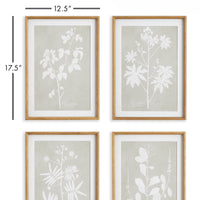 Design Shop Foliage Study, Set Of 4