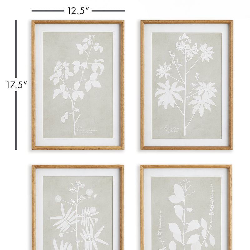 Design Shop Foliage Study, Set Of 4