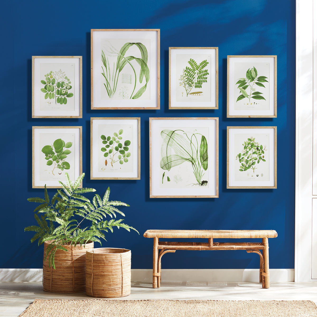 Design Shop Tree Leaf Study, Set Of 6