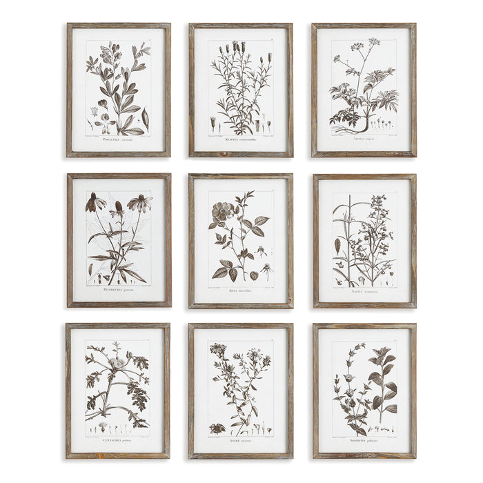 Design Shop Rustic Foliage Study, Set Of 9
