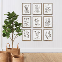Design Shop Rustic Foliage Study, Set Of 9