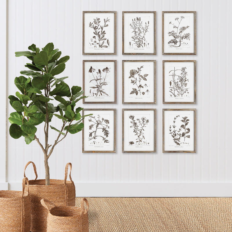 Design Shop Rustic Foliage Study, Set Of 9