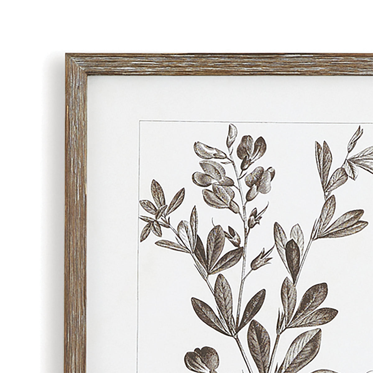 Design Shop Rustic Foliage Study, Set Of 9