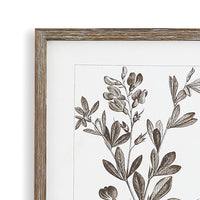 Design Shop Rustic Foliage Study, Set Of 9