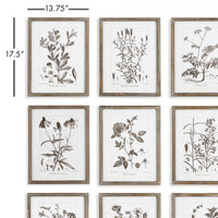 Design Shop Rustic Foliage Study, Set Of 9