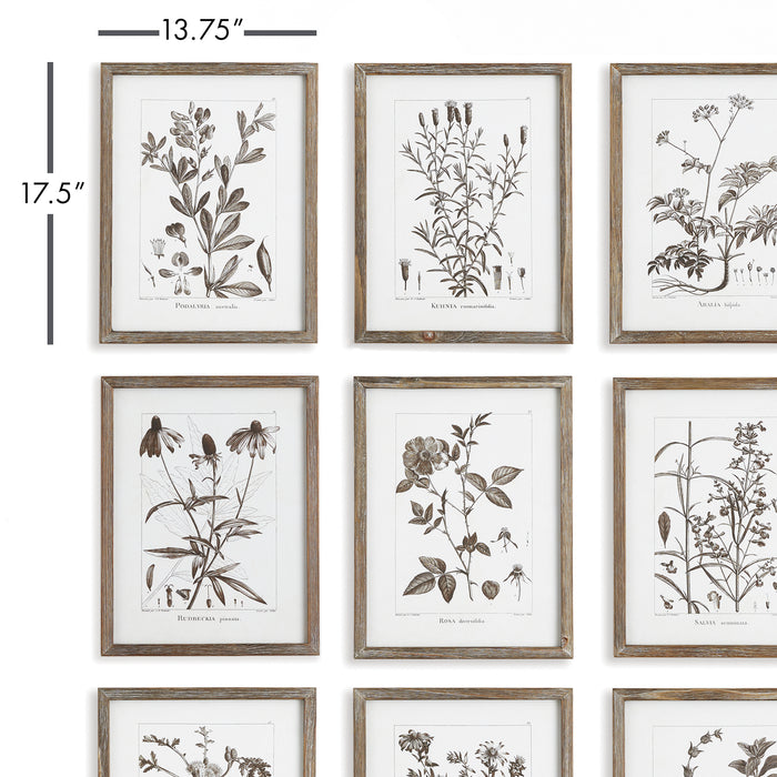 Design Shop Rustic Foliage Study, Set Of 9