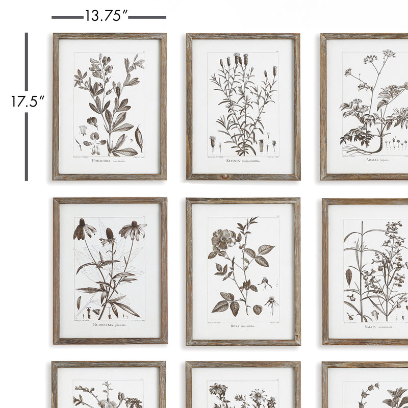 Design Shop Rustic Foliage Study, Set Of 9