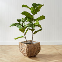 Design Shop Sylvie Square Taper Basket Small