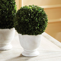 Design Shop Boxwood Ball Topiary In Pot Large