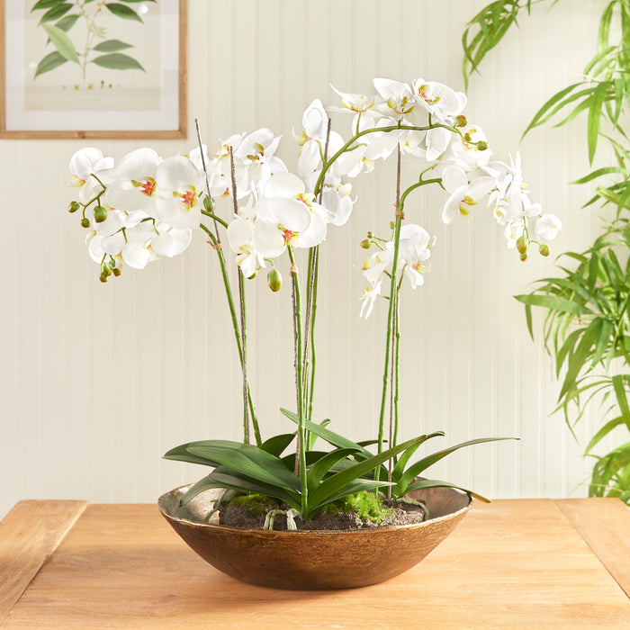 White Phalaenopsis orchids with green stems in a shallow rustic brown bowl, mossy base on a wooden table.