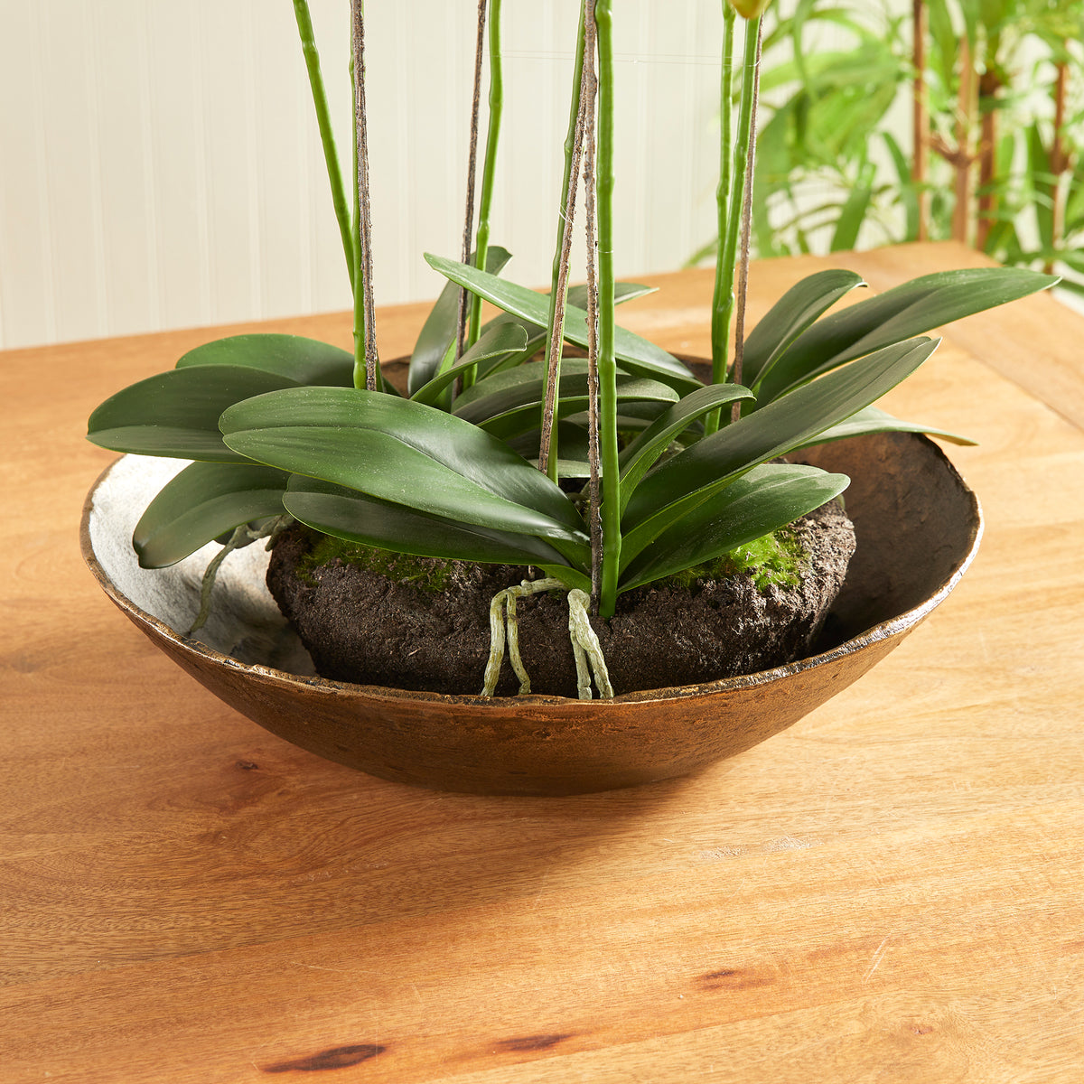 Design Shop Myron Decorative Bowl