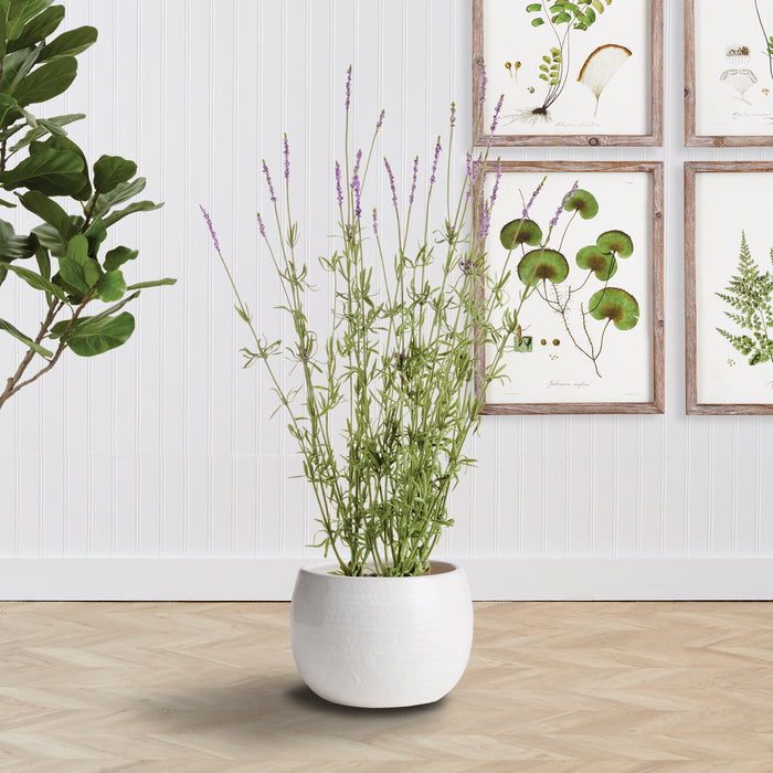 Design Shop Kayla Pot Small