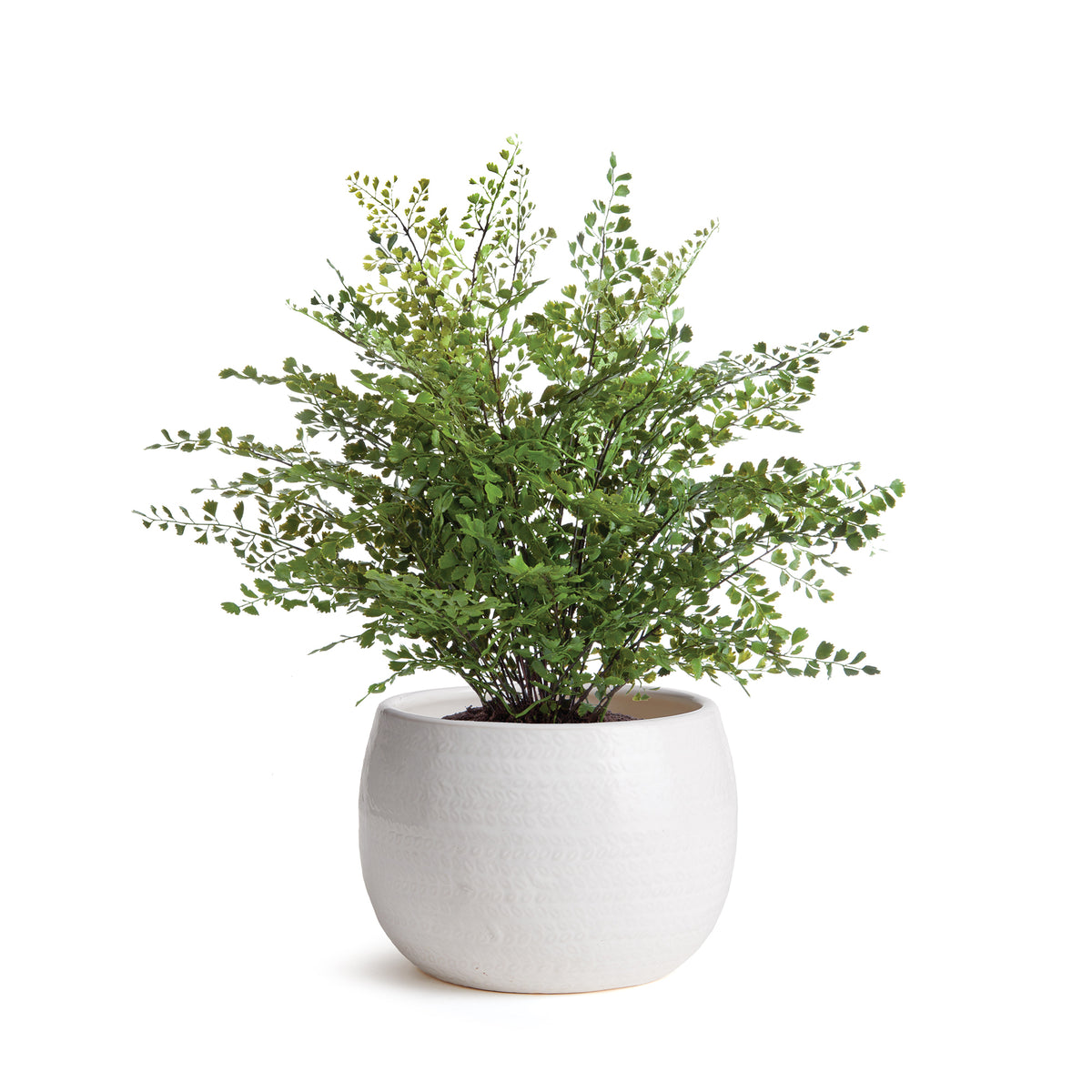Design Shop Kayla Pot Small
